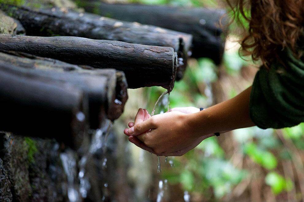 Chorros de Epina, La Gomera. 