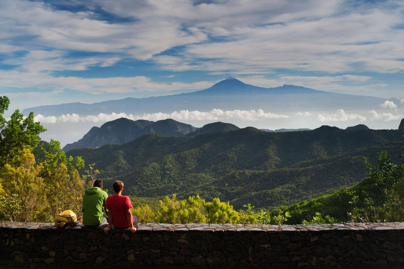 Garajonay. La Gomera