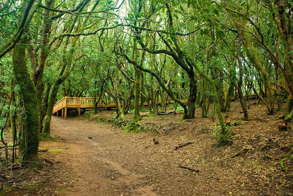 Anaga, Tenerife.